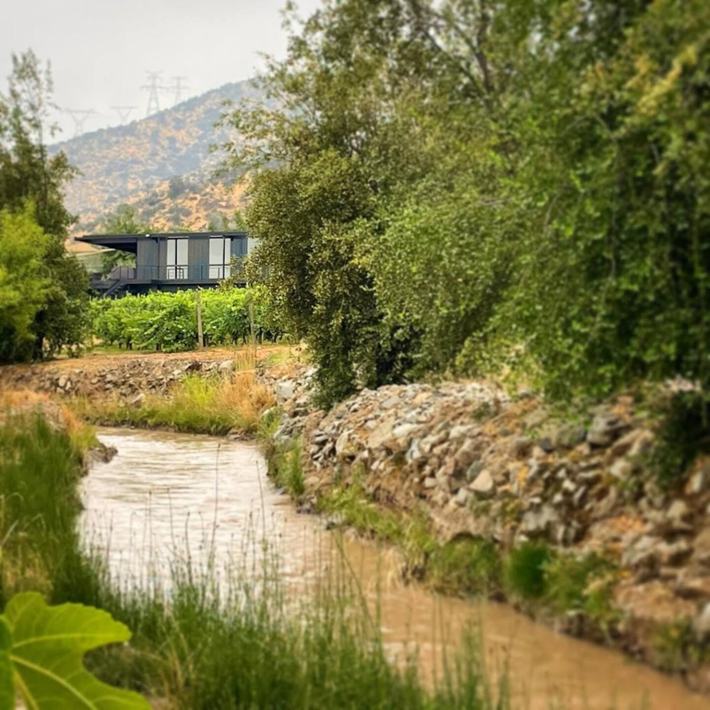 Vina Lof - Maipo Valley Bed & Breakfast In Winery Paine Kültér fotó