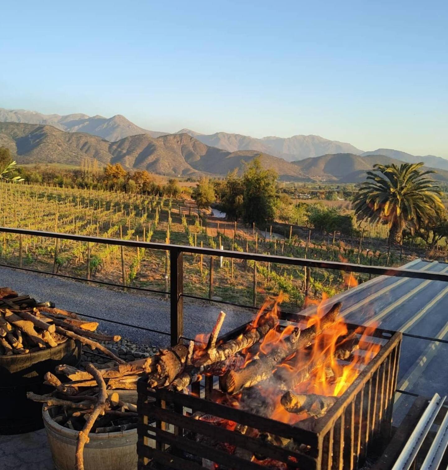 Vina Lof - Maipo Valley Bed & Breakfast In Winery Paine Kültér fotó